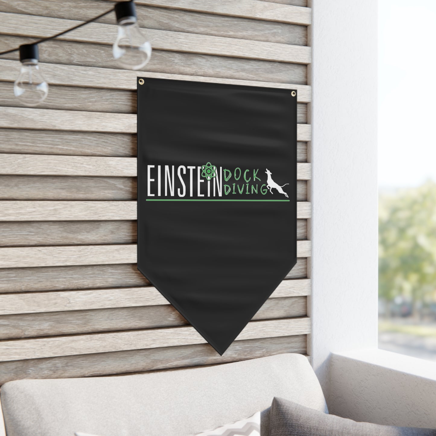 Einstein Pennant Banner