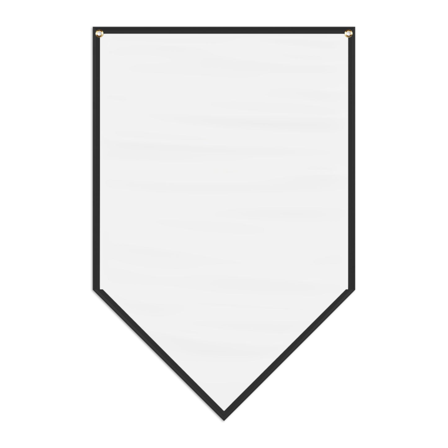 Einstein Pennant Banner
