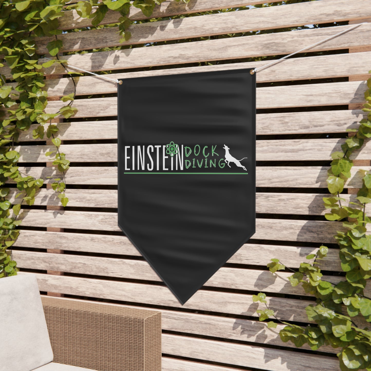 Einstein Pennant Banner