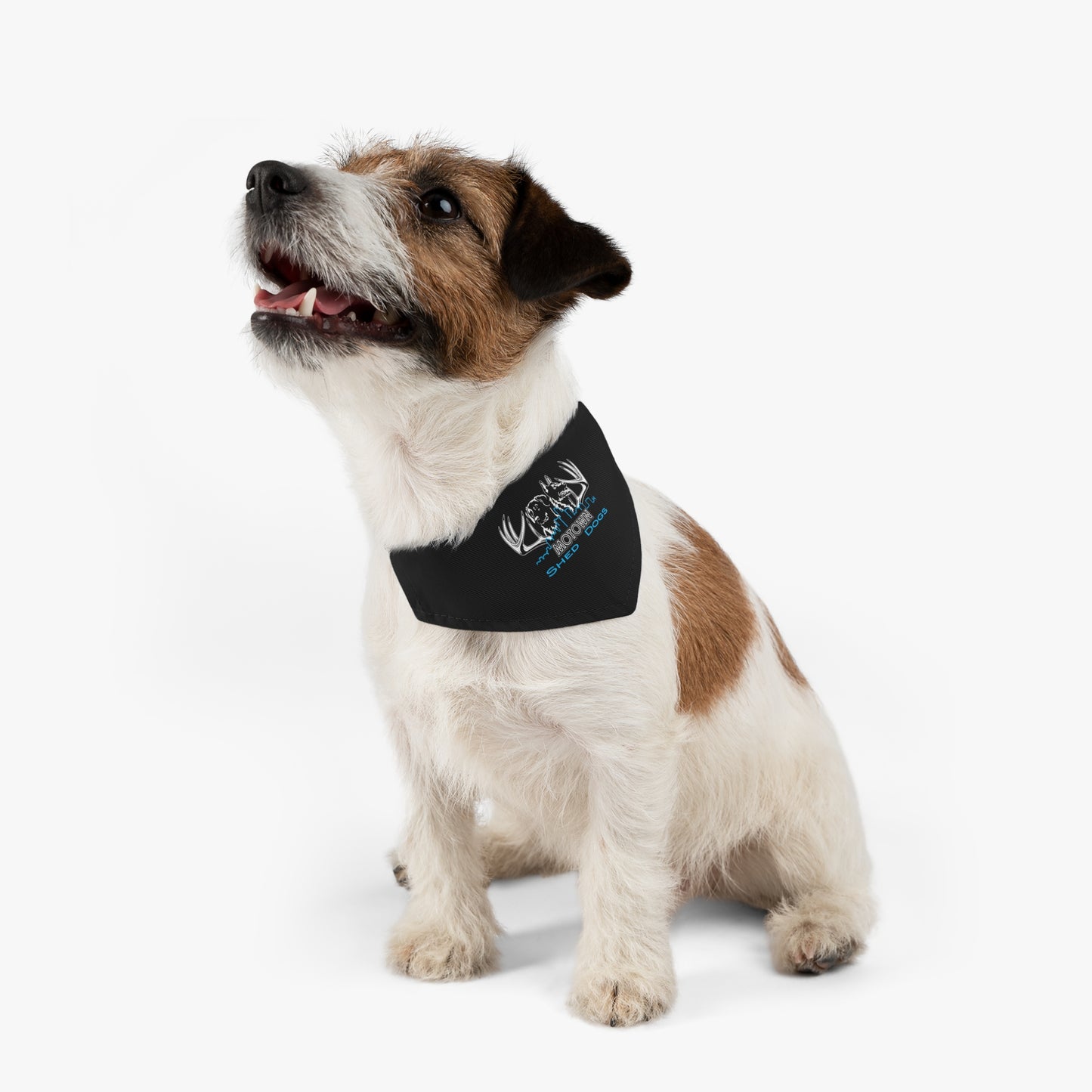MoTown Shed Dogs Bandana