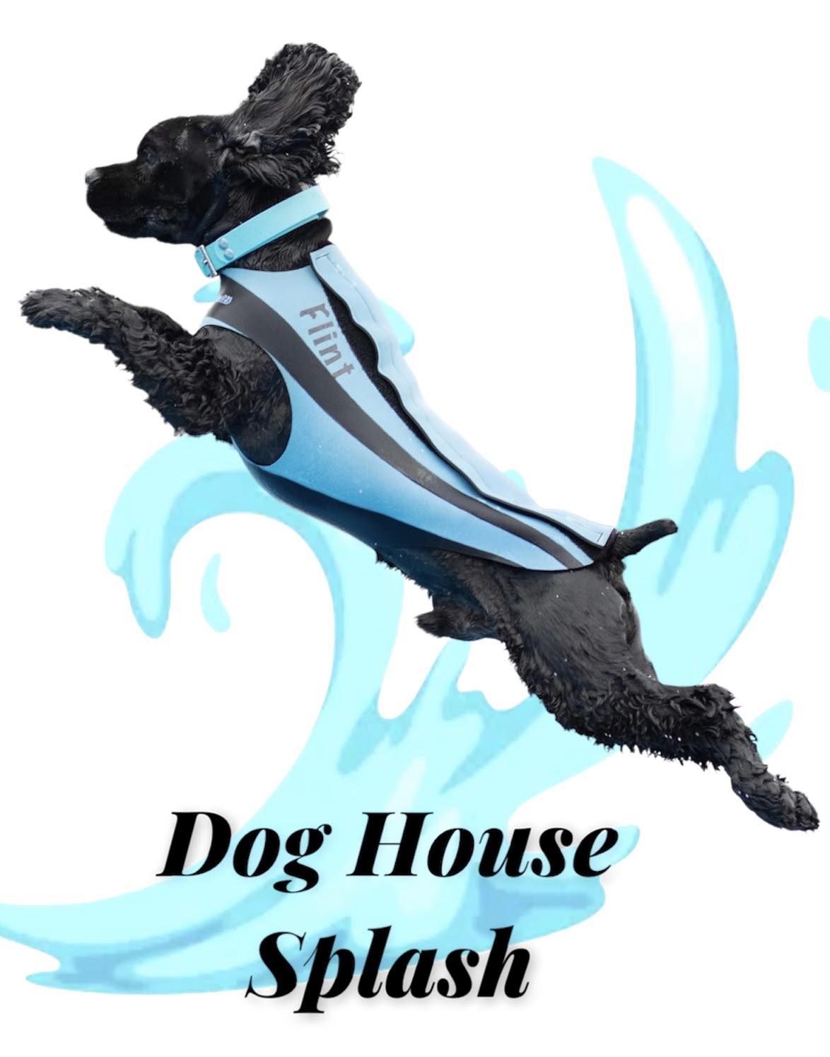 Dog House Splash