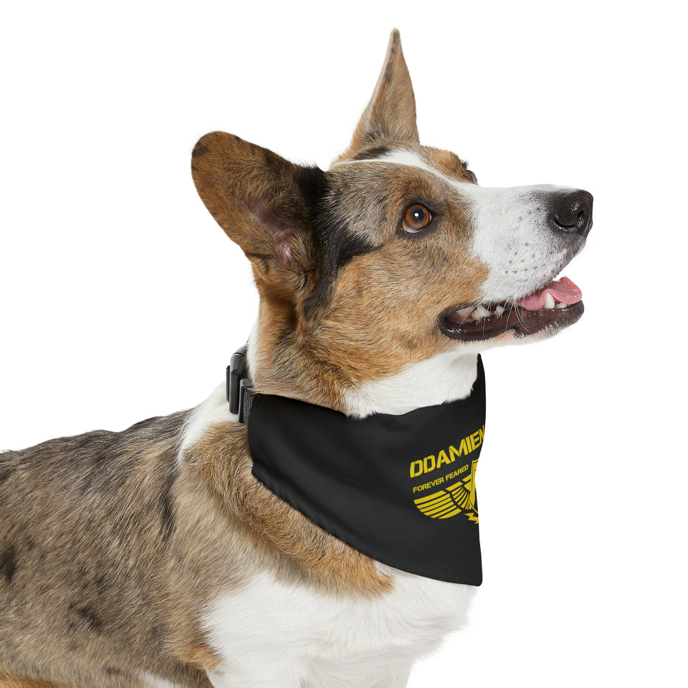 
                      
                        Pet Bandana Collar
                      
                    