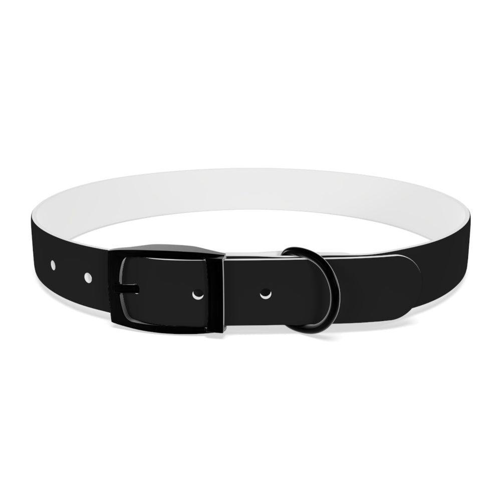 
                      
                        Dog Collar
                      
                    