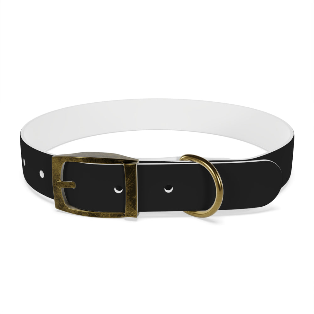 
                      
                        Dog Collar
                      
                    