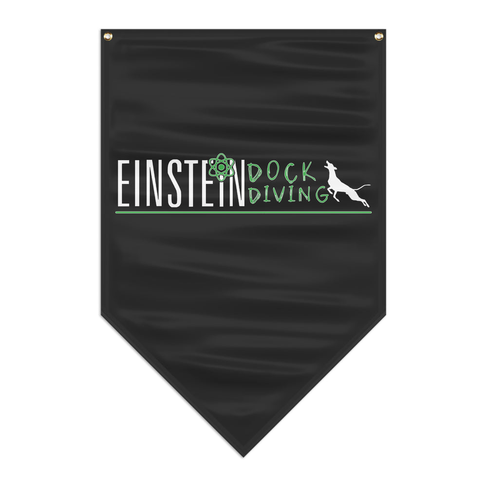 
                      
                        Einstein Pennant Banner
                      
                    