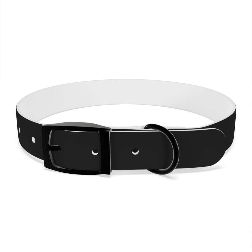 
                      
                        Dog Collar
                      
                    