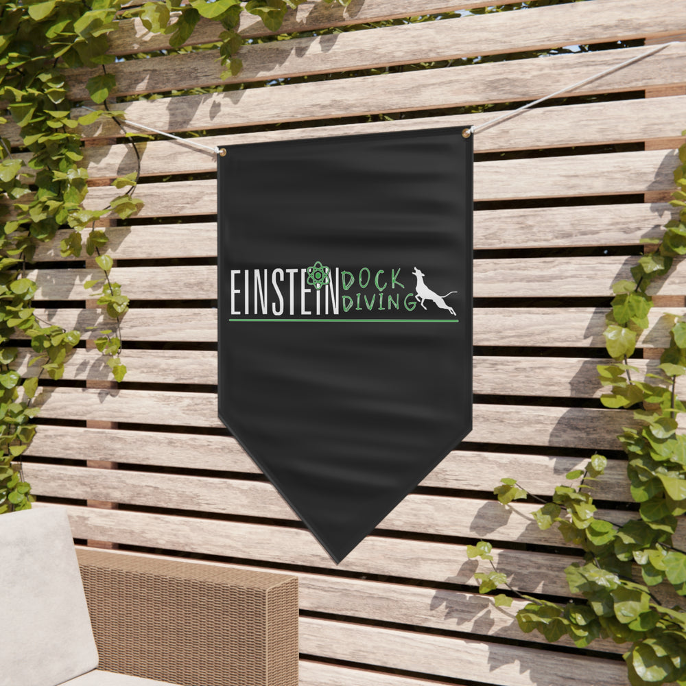 
                      
                        Einstein Pennant Banner
                      
                    