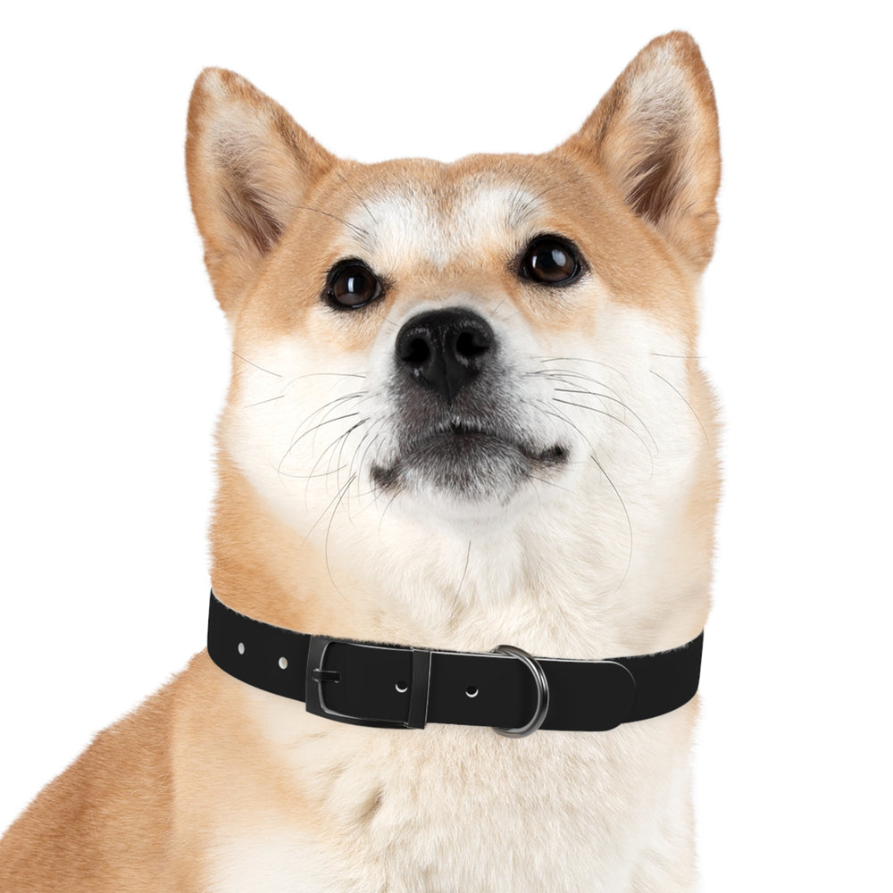 
                      
                        Dog Collar
                      
                    