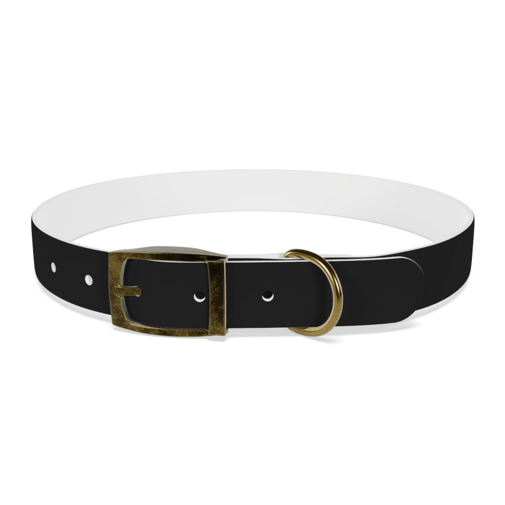 
                      
                        Dog Collar
                      
                    