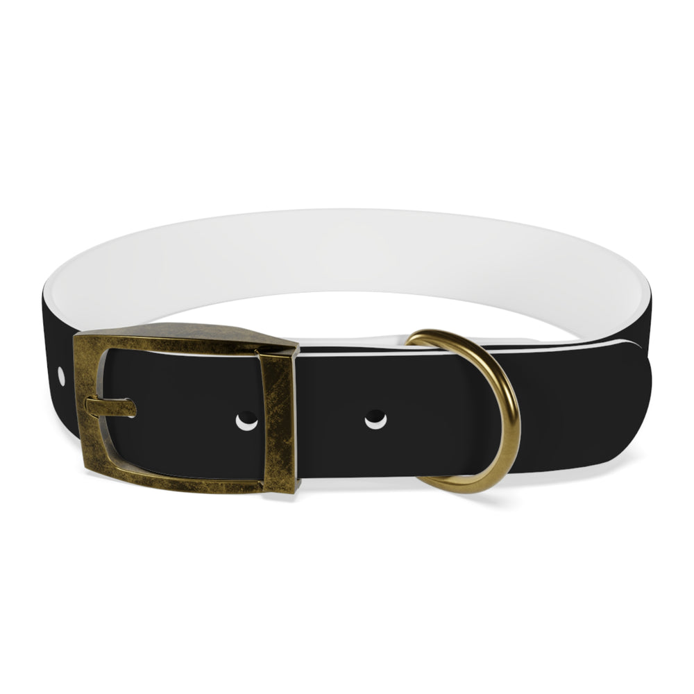 
                      
                        Dog Collar
                      
                    