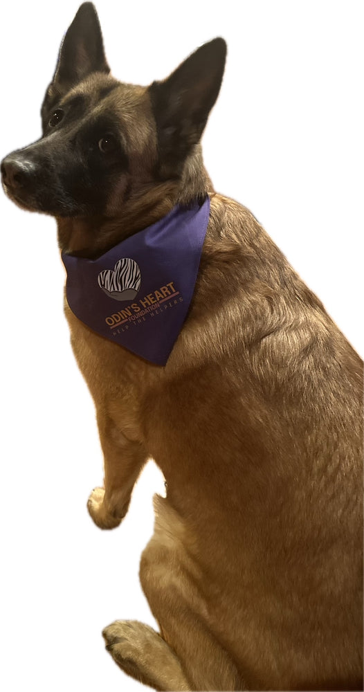 Odin's Heart Bandanna